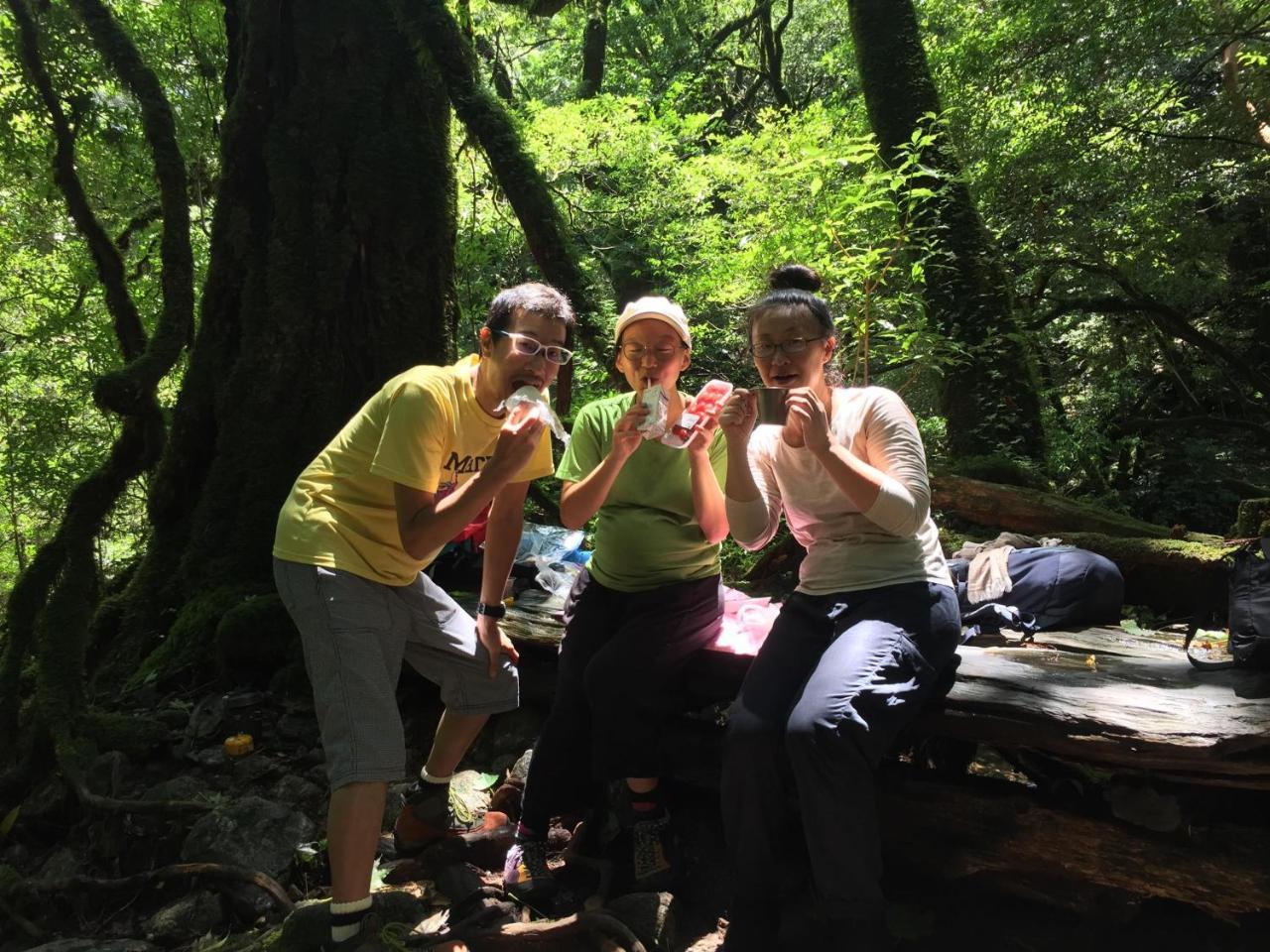 Yakushima Youth Hostel 외부 사진